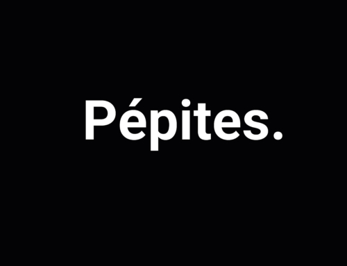 Pépites. Une aventure unique, un projet révélateur