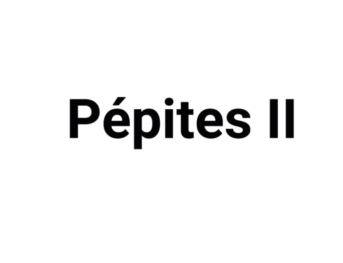 Pépite II