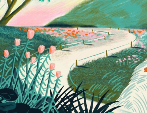 Les rendez-vous aux jardins