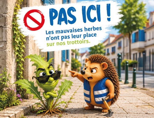 Les mauvaises herbes, pas ici !