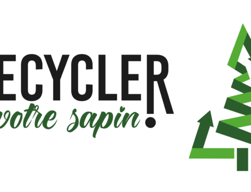 Recycler votre sapin